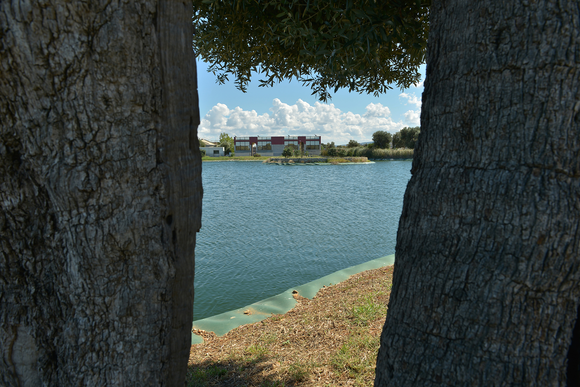 DSC_4694 b