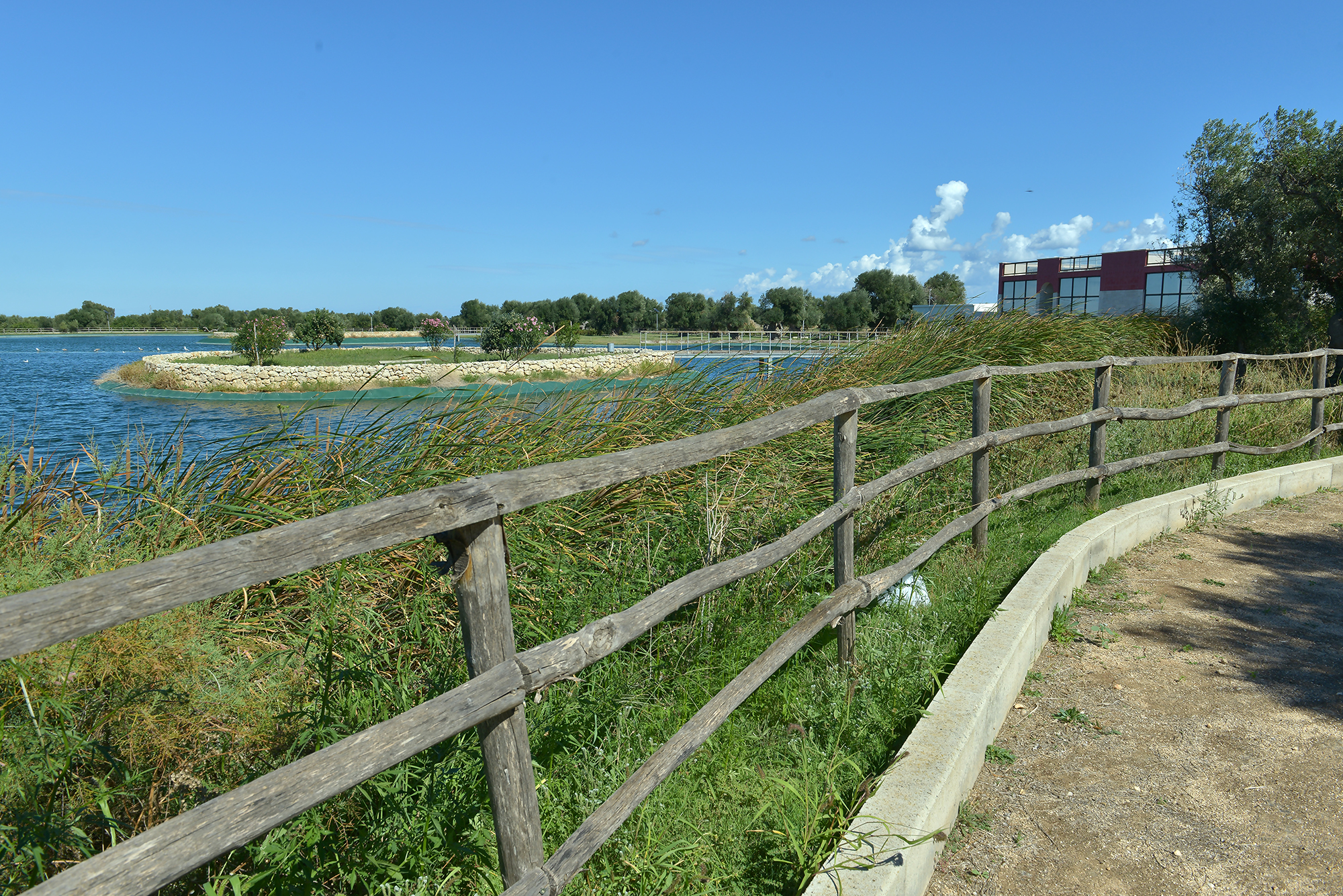 DSC_4741b